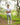 Boot Cut Jeans
